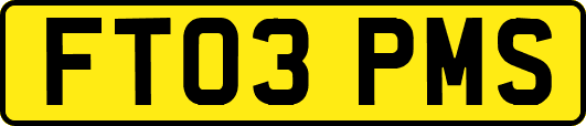 FT03PMS