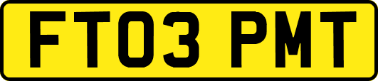 FT03PMT