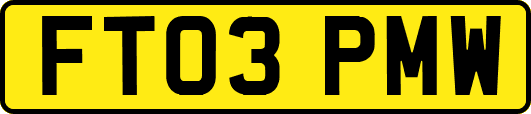 FT03PMW