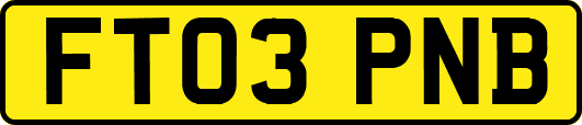 FT03PNB