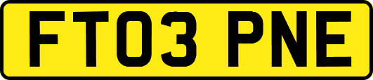 FT03PNE