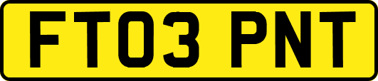 FT03PNT