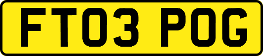 FT03POG