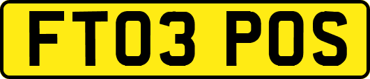 FT03POS
