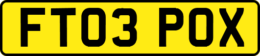 FT03POX