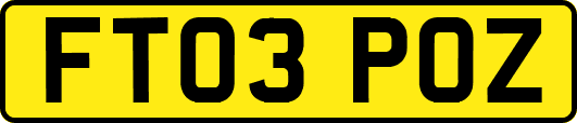 FT03POZ