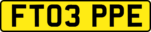 FT03PPE