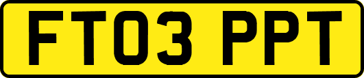 FT03PPT