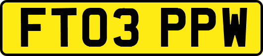 FT03PPW