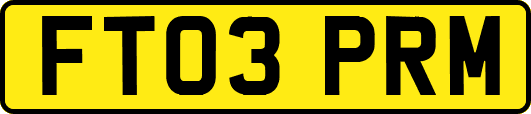 FT03PRM