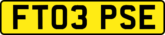 FT03PSE
