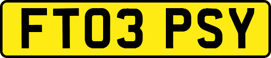 FT03PSY
