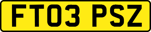 FT03PSZ
