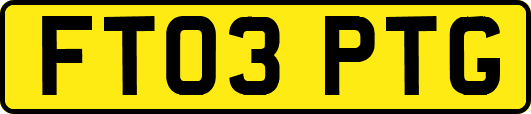 FT03PTG