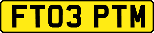 FT03PTM