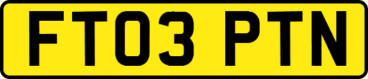 FT03PTN
