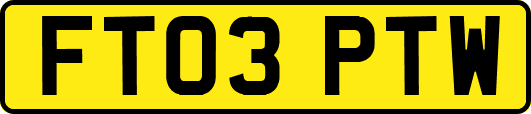 FT03PTW
