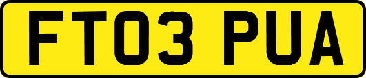 FT03PUA