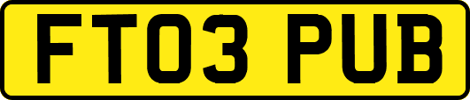 FT03PUB