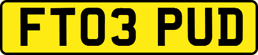 FT03PUD