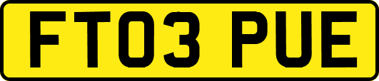 FT03PUE