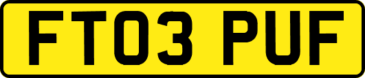 FT03PUF