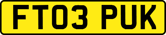 FT03PUK