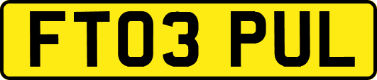 FT03PUL