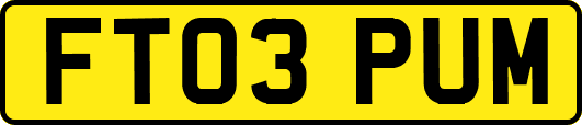 FT03PUM