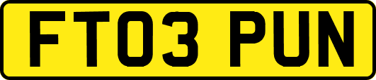 FT03PUN