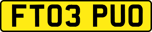 FT03PUO