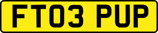 FT03PUP
