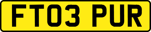 FT03PUR