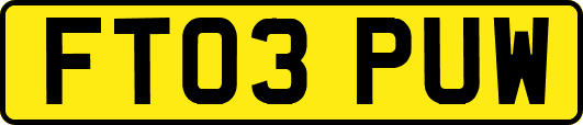 FT03PUW