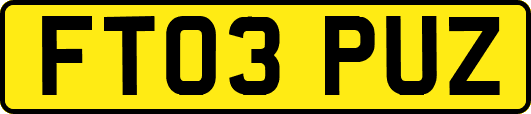 FT03PUZ