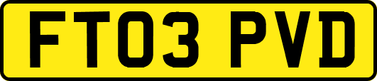 FT03PVD
