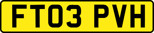 FT03PVH