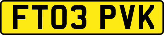 FT03PVK