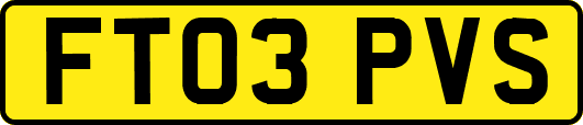 FT03PVS