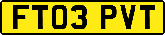 FT03PVT