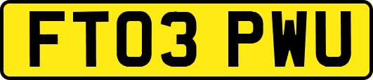 FT03PWU