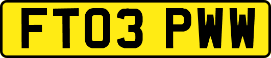 FT03PWW