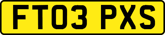 FT03PXS