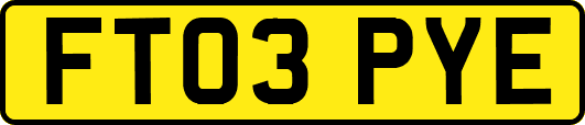 FT03PYE