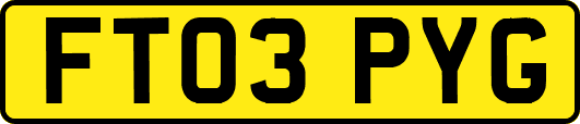 FT03PYG