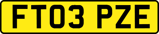 FT03PZE