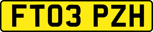 FT03PZH