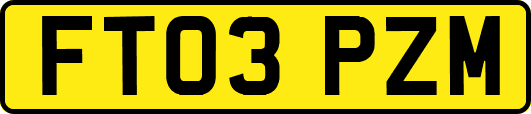 FT03PZM