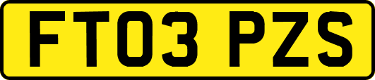 FT03PZS