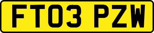 FT03PZW